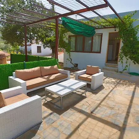 Tomato * Bodrum