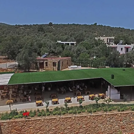 Tomato Villa