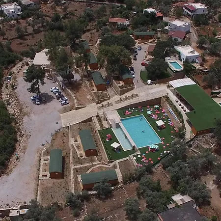 Tomato * Bodrum