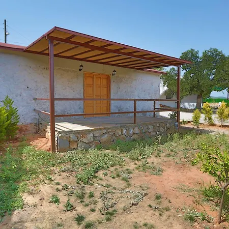 Tomato Villa *