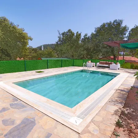 Tomato Villa