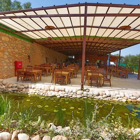 Villa Tomato *