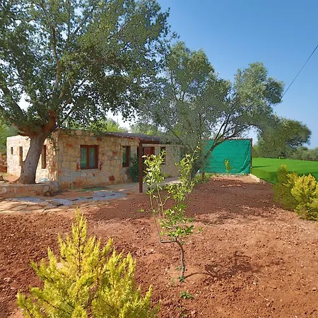 فيلة Tomato بودروم