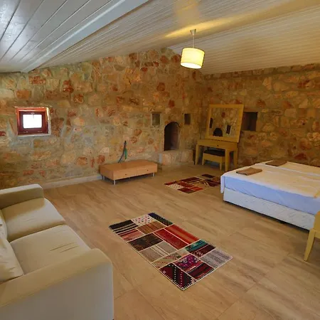 Villa Tomato *
