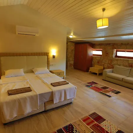 Tomato Bodrum