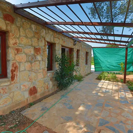 Tomato Villa *