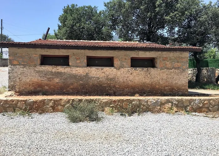 Tomato فيلة بودروم